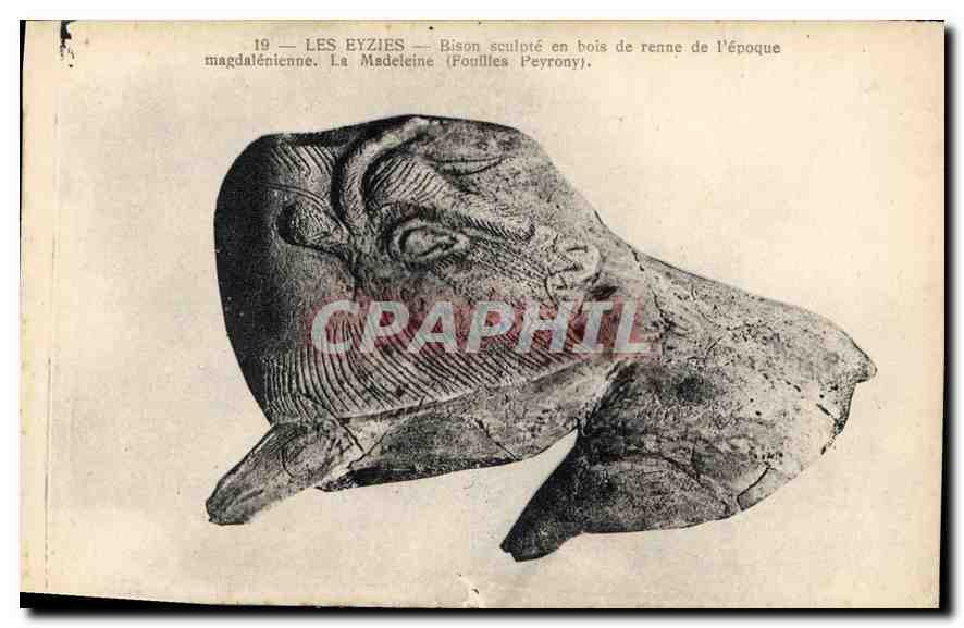 CPA Les Eyzies Bison Sculpte en bois de renne de l'epoque magdalenienne la madeleine fouilles peyron