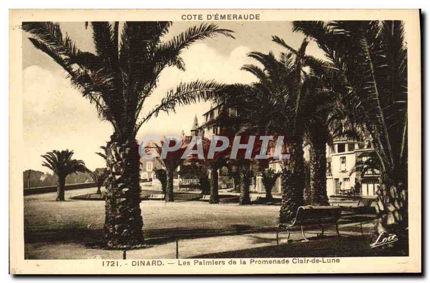 Dinard — Les Palmiers de la Promenade Clair-de-Lune — Laurent-Nel-Bennes