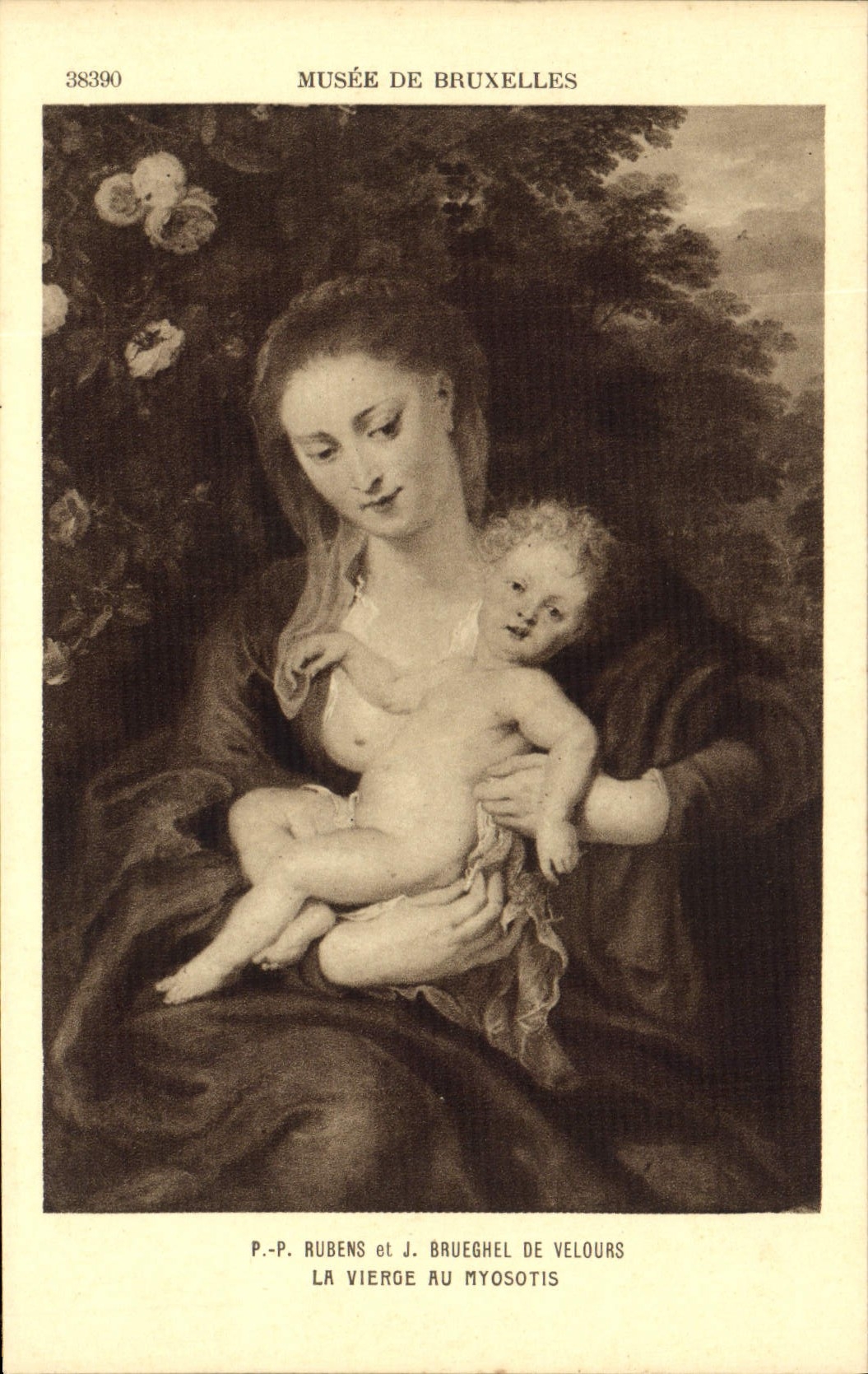 La Vierge au myosotis — Musée de Bruxelles — G. Hamacher, Bruxelles