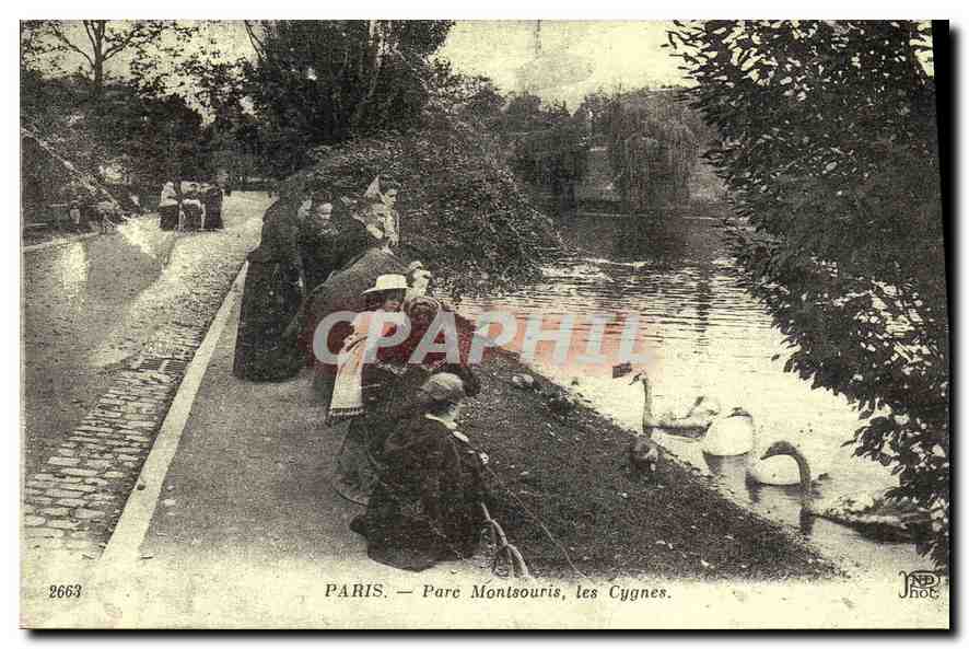 REPRO Paris Parc Montsouris les Cygnes 