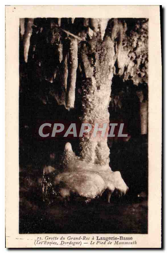 CPA Grotte du Grand Roc a Laugerie Basse Les Eyzies Dordogne Le Pied de Mammouth 