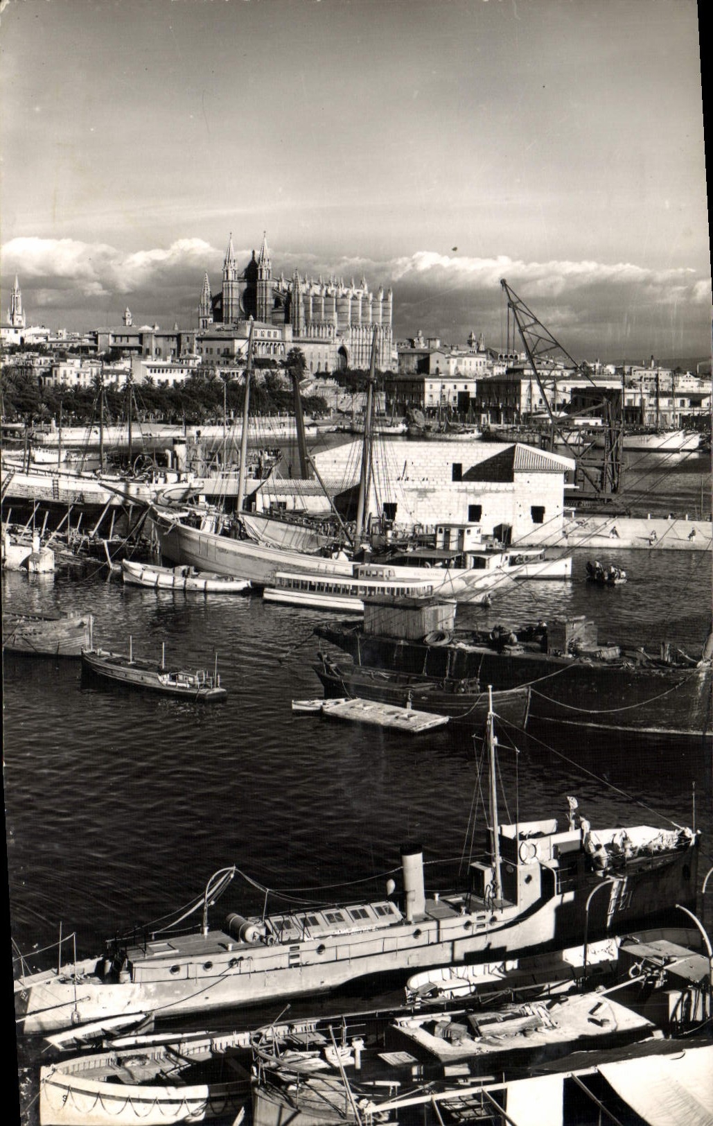CPA Mallorca Plamo Vue partielle du Port et Cathedrale depues Club Nautico Bateau