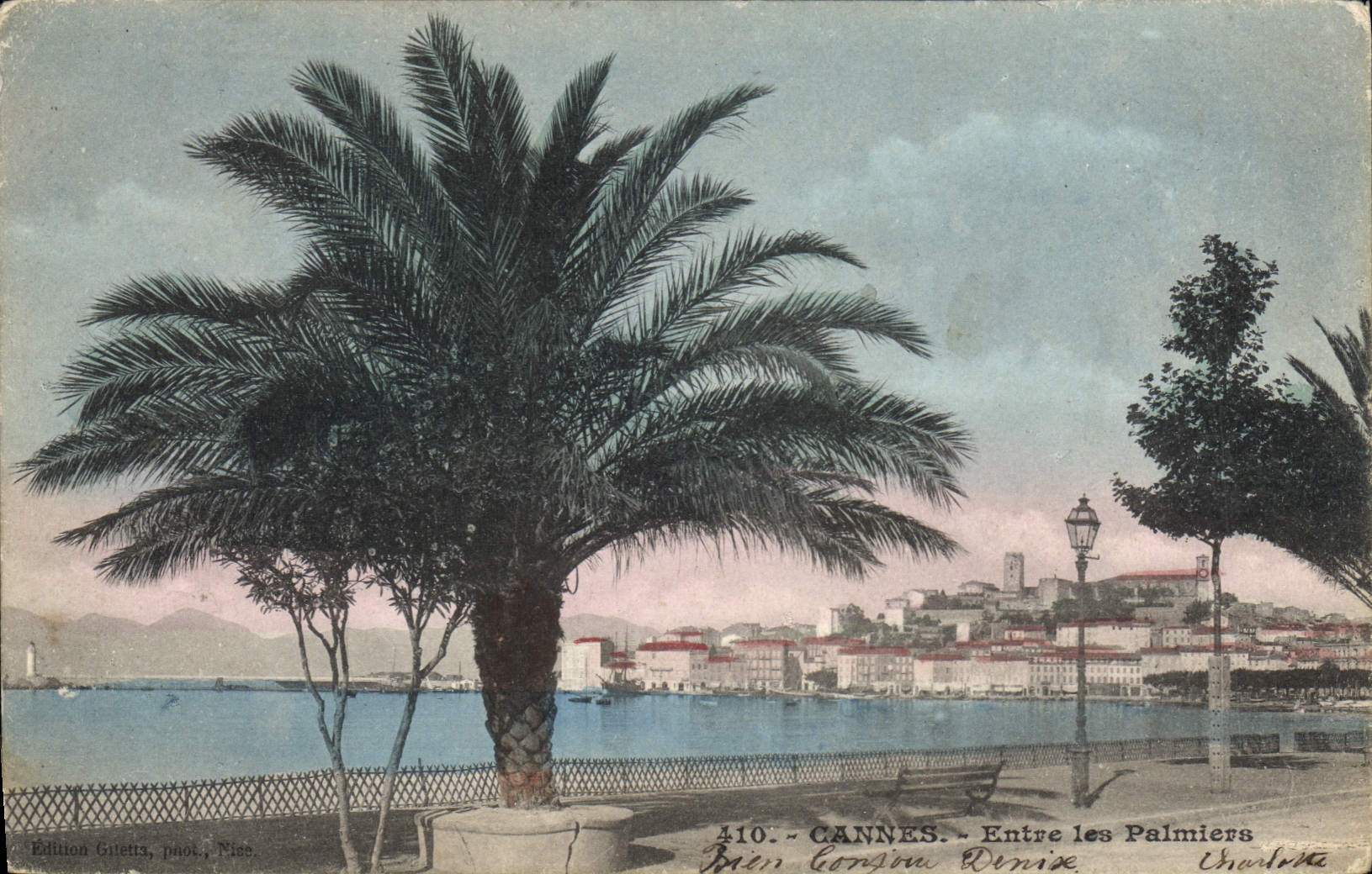 CANNES - Entre les Palmiers — Édition Guletitz, phot. Nice, n°410