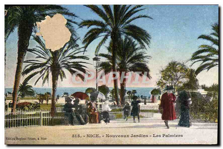 CPA Nice Nouveaux Jardins Les Palmiers 