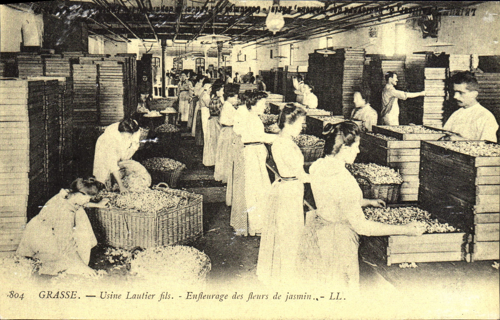Grasse — Usine Lautier fils — Enfleurage des fleurs de jasmin — LL.