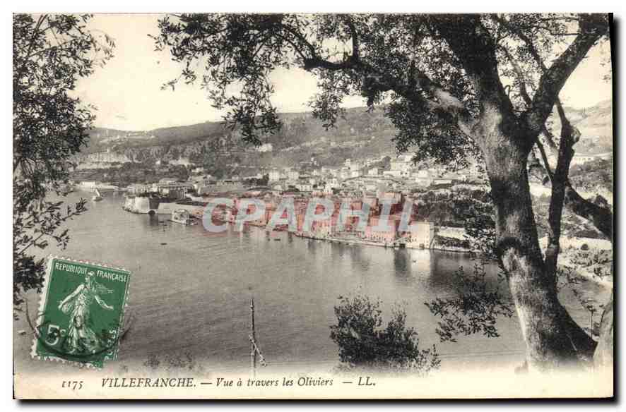 Villefranche — Vue à travers les Oliviers — LL.