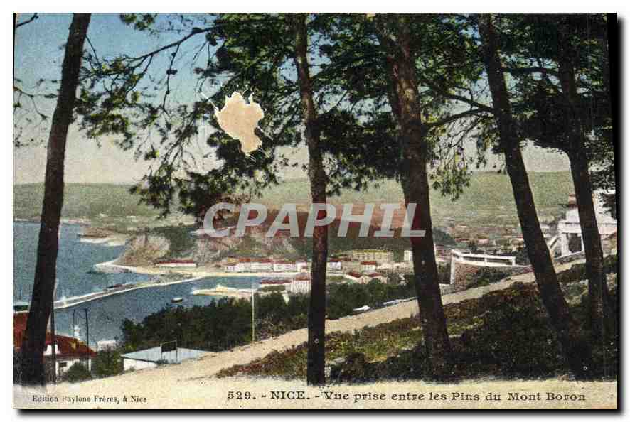 CPA Nice Vue prise entre les Pins du Mont Boron 