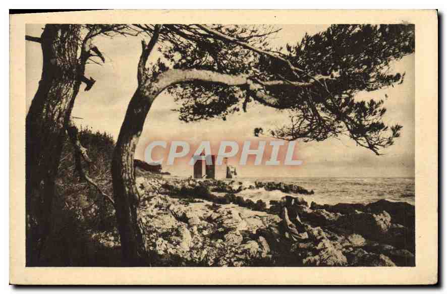 Les Îles de Lérins — Vue côtière avec pins — Éditeur : Héloïseau Imprimeur, Nancy