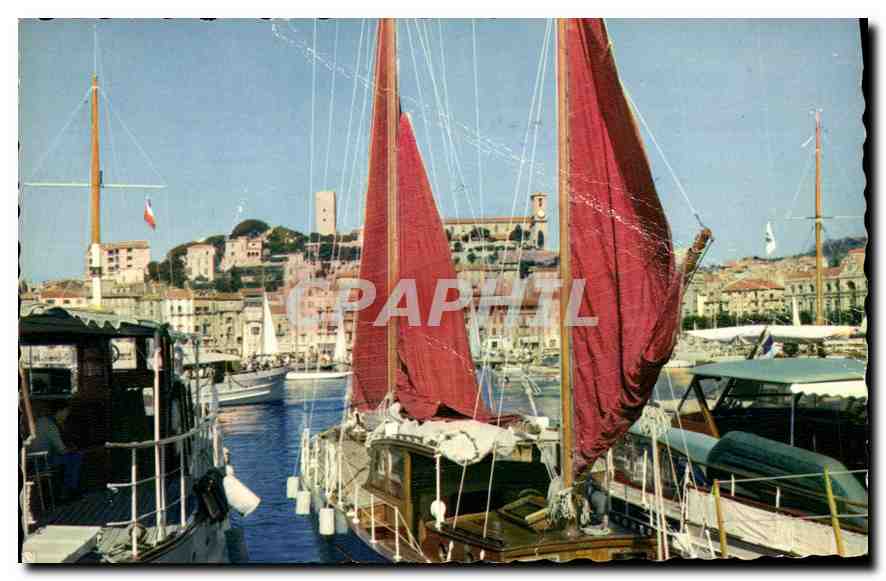 CPA La Cote d'Azur Cannes A M Le Port et le Suquet Bateaux