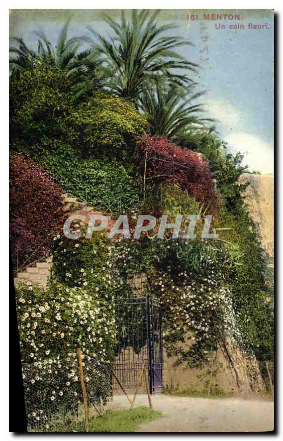 CPA Menton un coin fleuri 