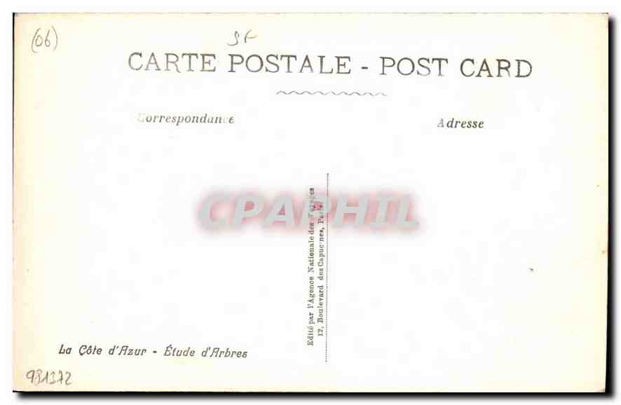 CPA La Cote d'Azur Etude d'Arbres  — Back