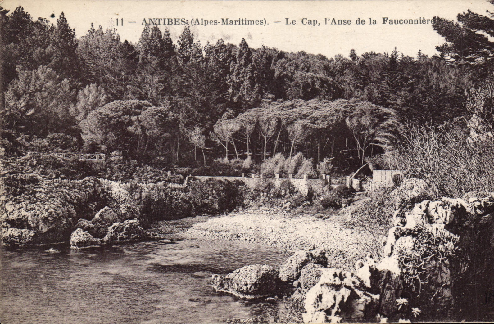 CPA Antibes Alpes Maritimes Le Cap l'Anse de la Fauconniere 