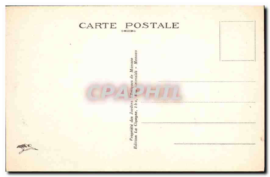 CPA Monaco Les Jardins Exotiques  — Rückseite