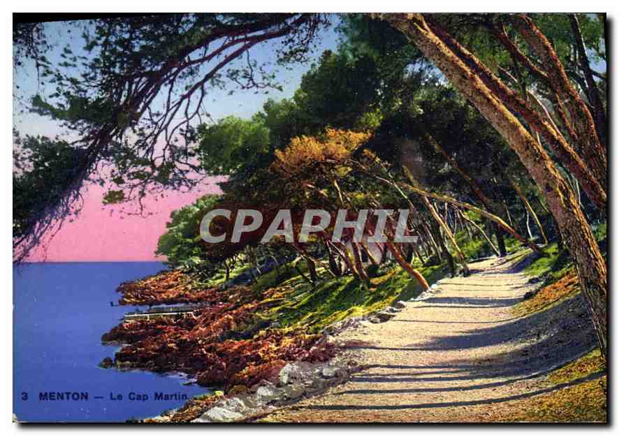 CPA Menton Le Cap Martin 