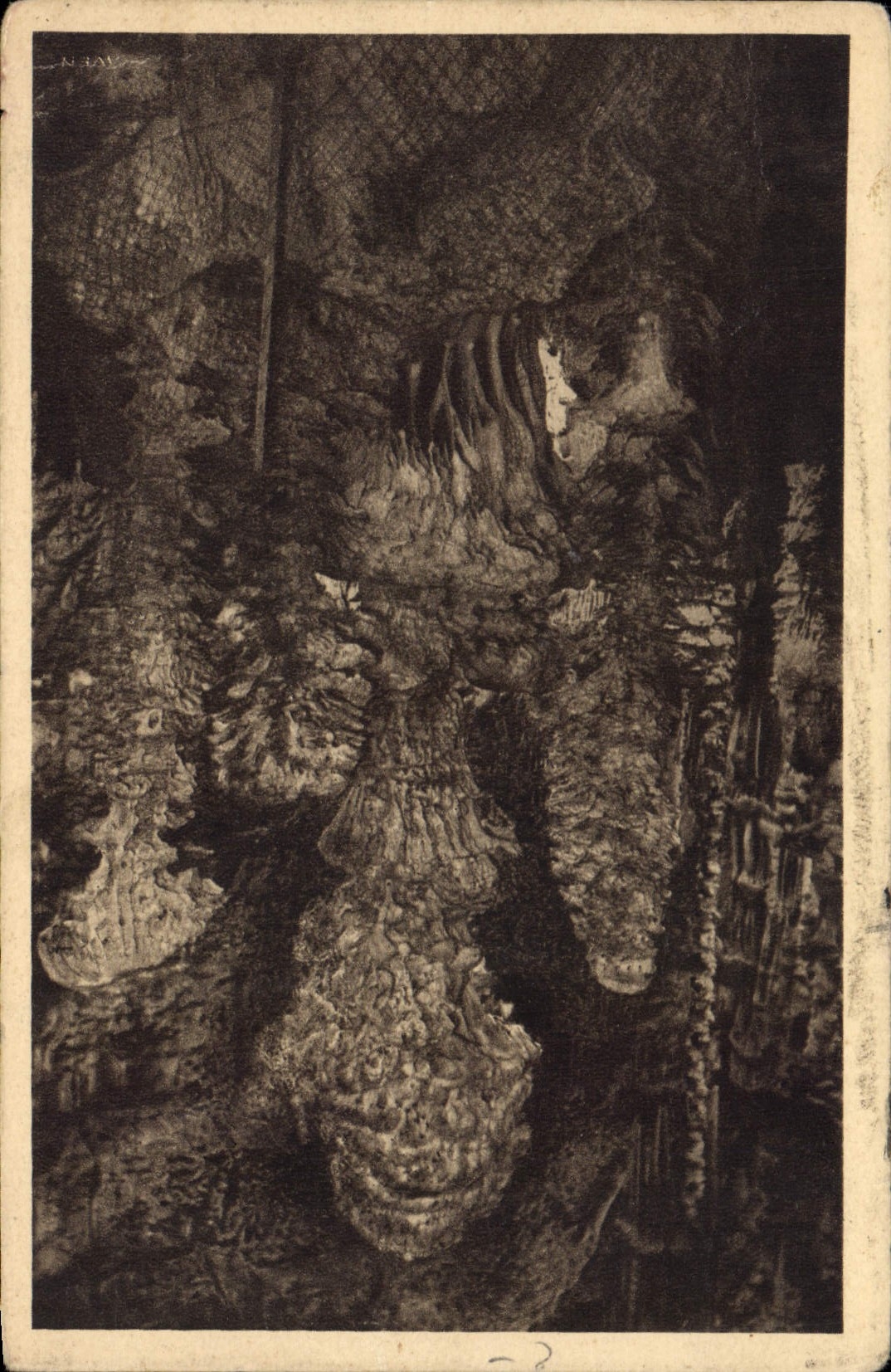 Grottes de l'Aven Armand — Les Choux-fleurs — Édition de l'Aven Armand