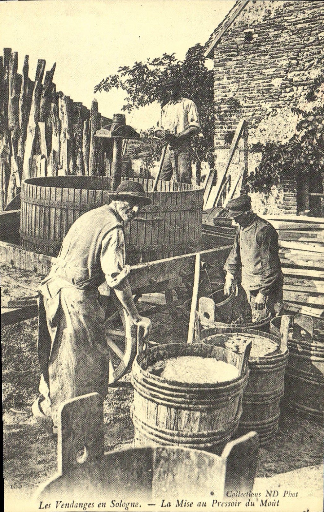 REPRO Les vendanges en Sologne La mise au pressoir du mout Folklore