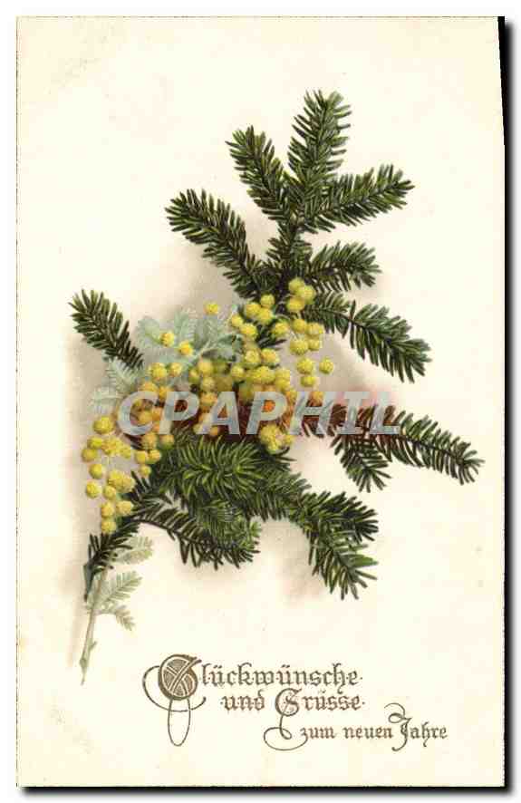CPA Fleurs