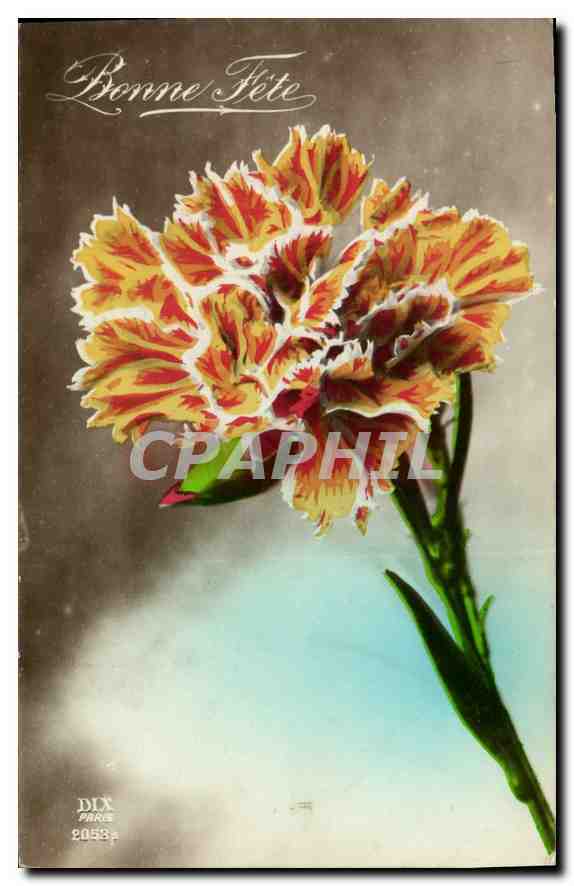 CPA Bonne Fete Fleurs