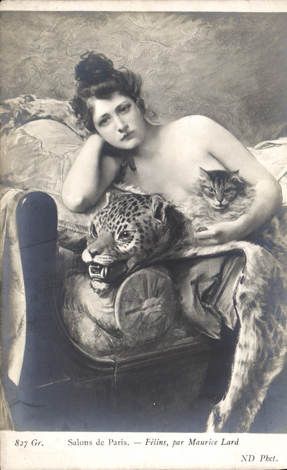 CPA Salon de Paris Felins Maurice Lard Chat Guepard