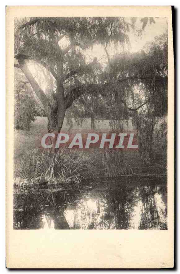 CPA Arbre