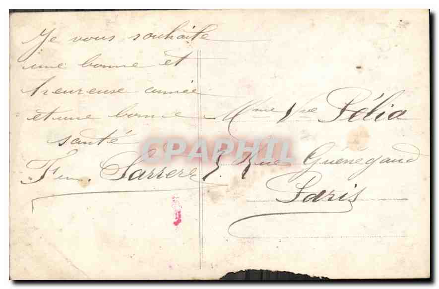 CPA Bonne Annee fleurs — Verso
