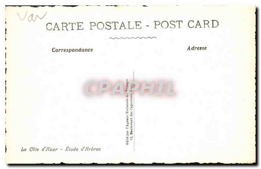 CPA La Cote d'Azur Etude d'Arbres  — Verso