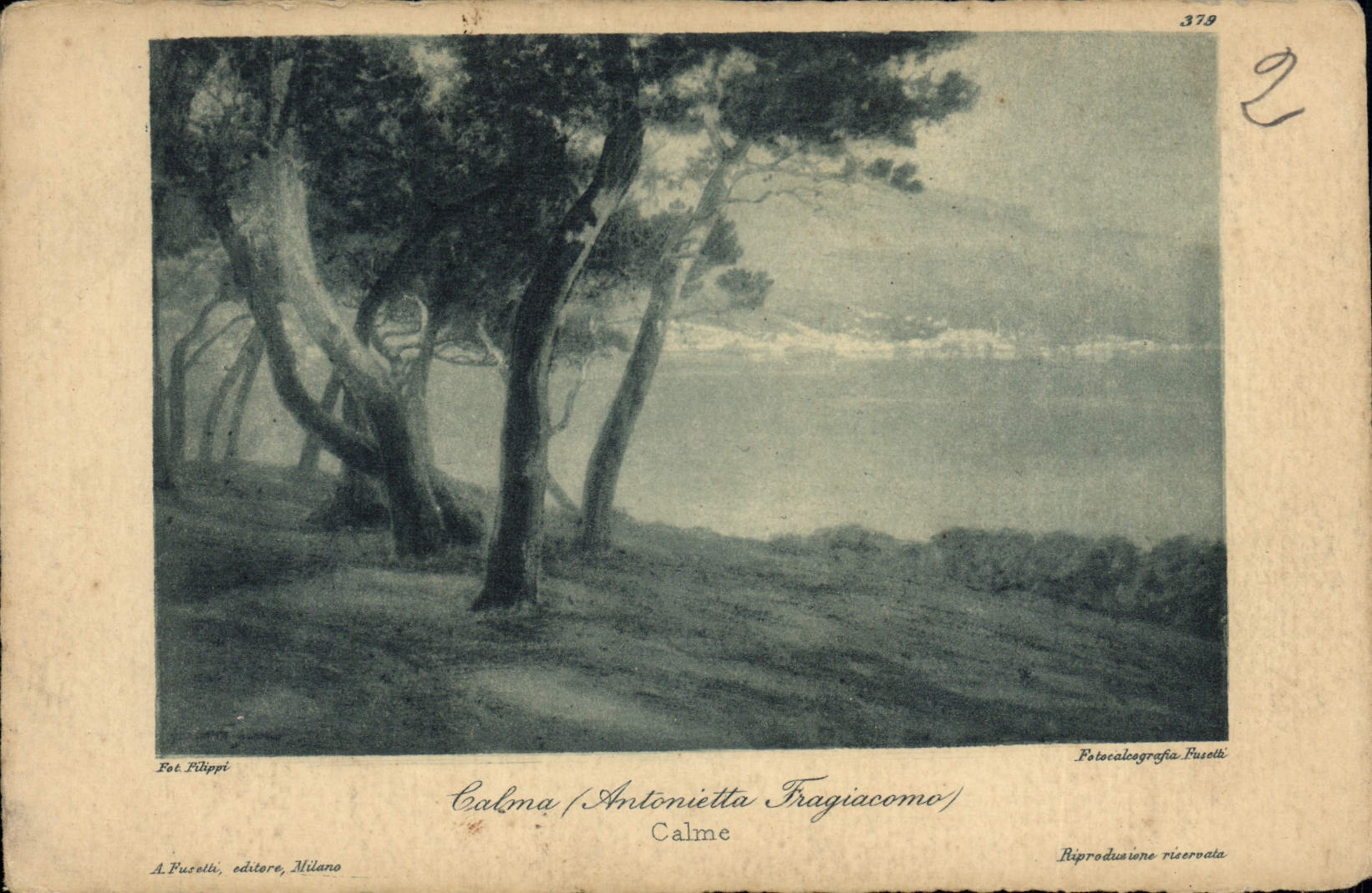 Calma (Antonietta Fragiacomo) — vue de pins et paysage — A. Fuzolli, éditeur, Milan, n° 379