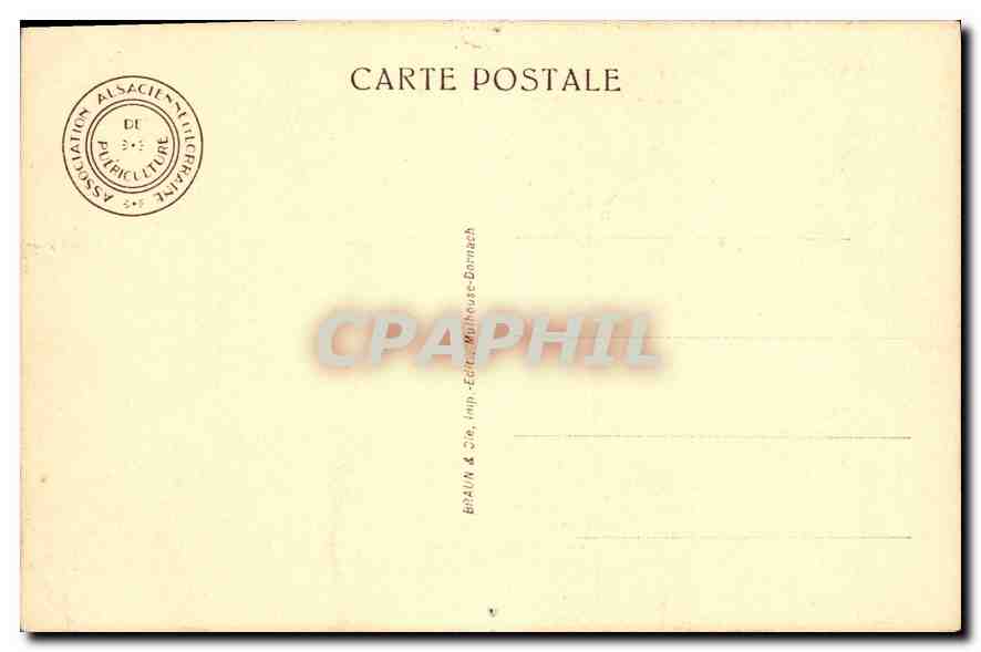 CPA Enfant — Verso