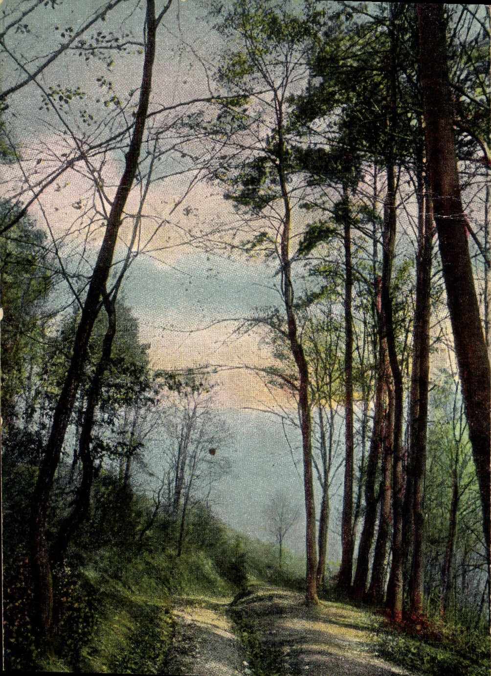 CPA Arbres