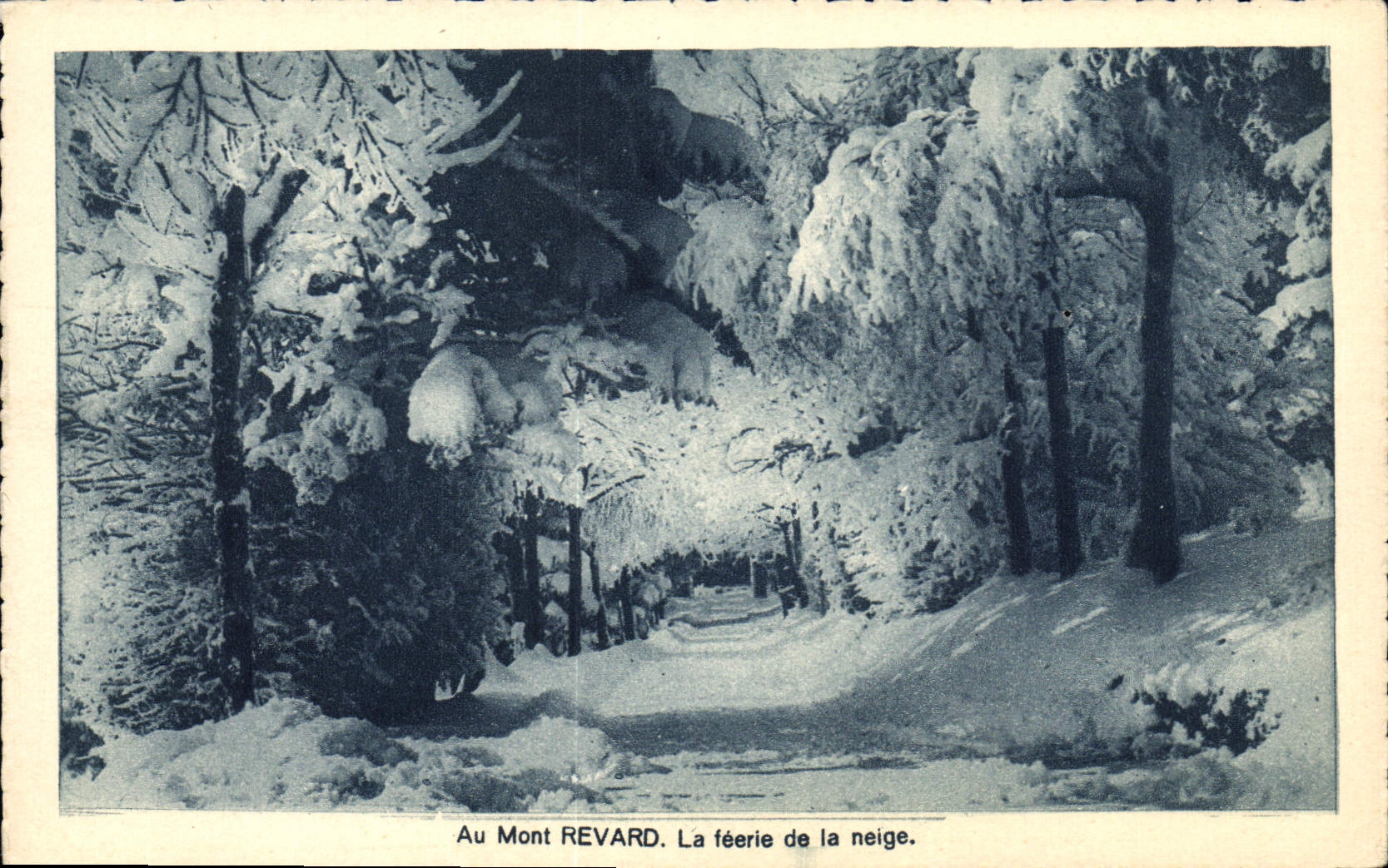Au Mont REVARD — La féerie de la neige — Photo G. Barroux, Aix-les-Bains