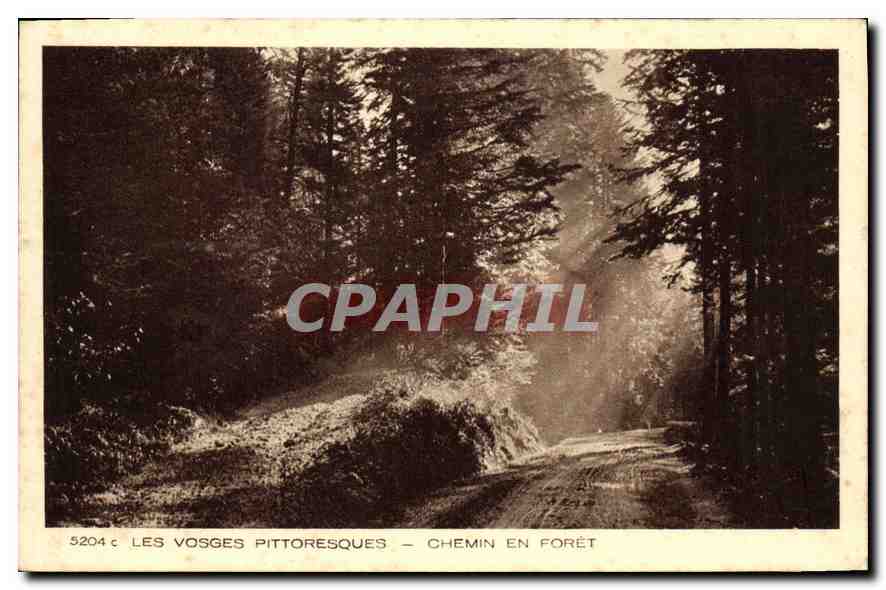 CPA Les Vosges Pittoresque Chemin en Foret 