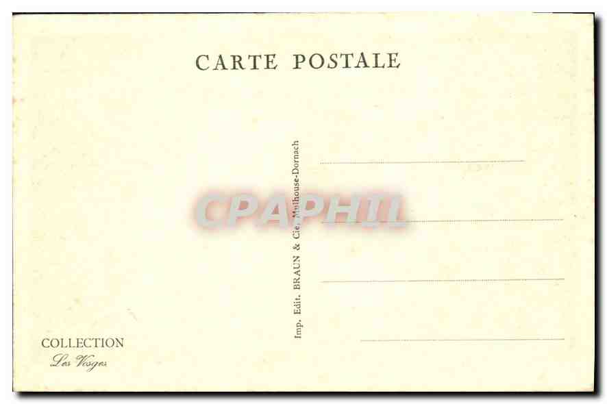 CPA Les Vosges Pittoresque Chemin en Foret  — Verso