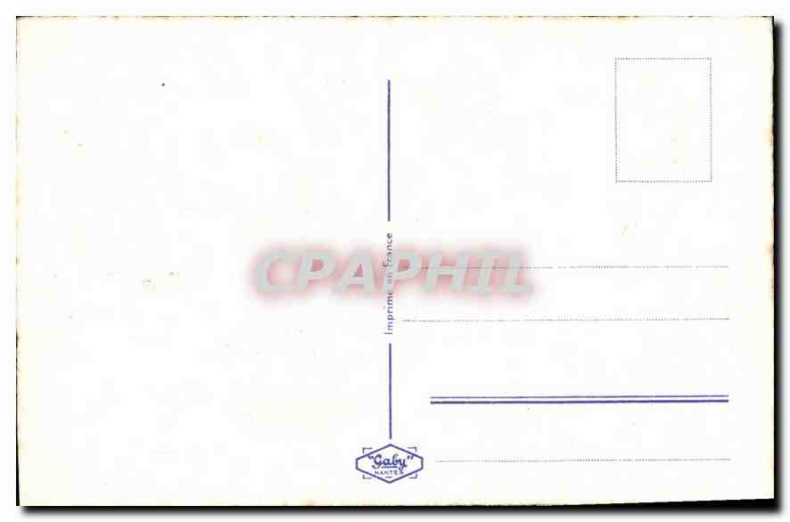 CPA Bonne Annee Fleurs — Verso