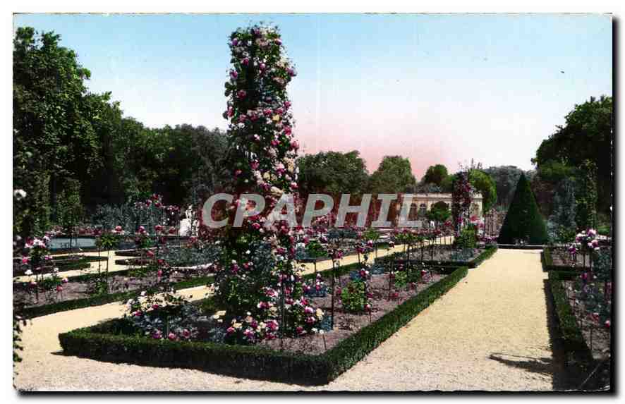 CPA Paris Bagatelle la Roseraie 