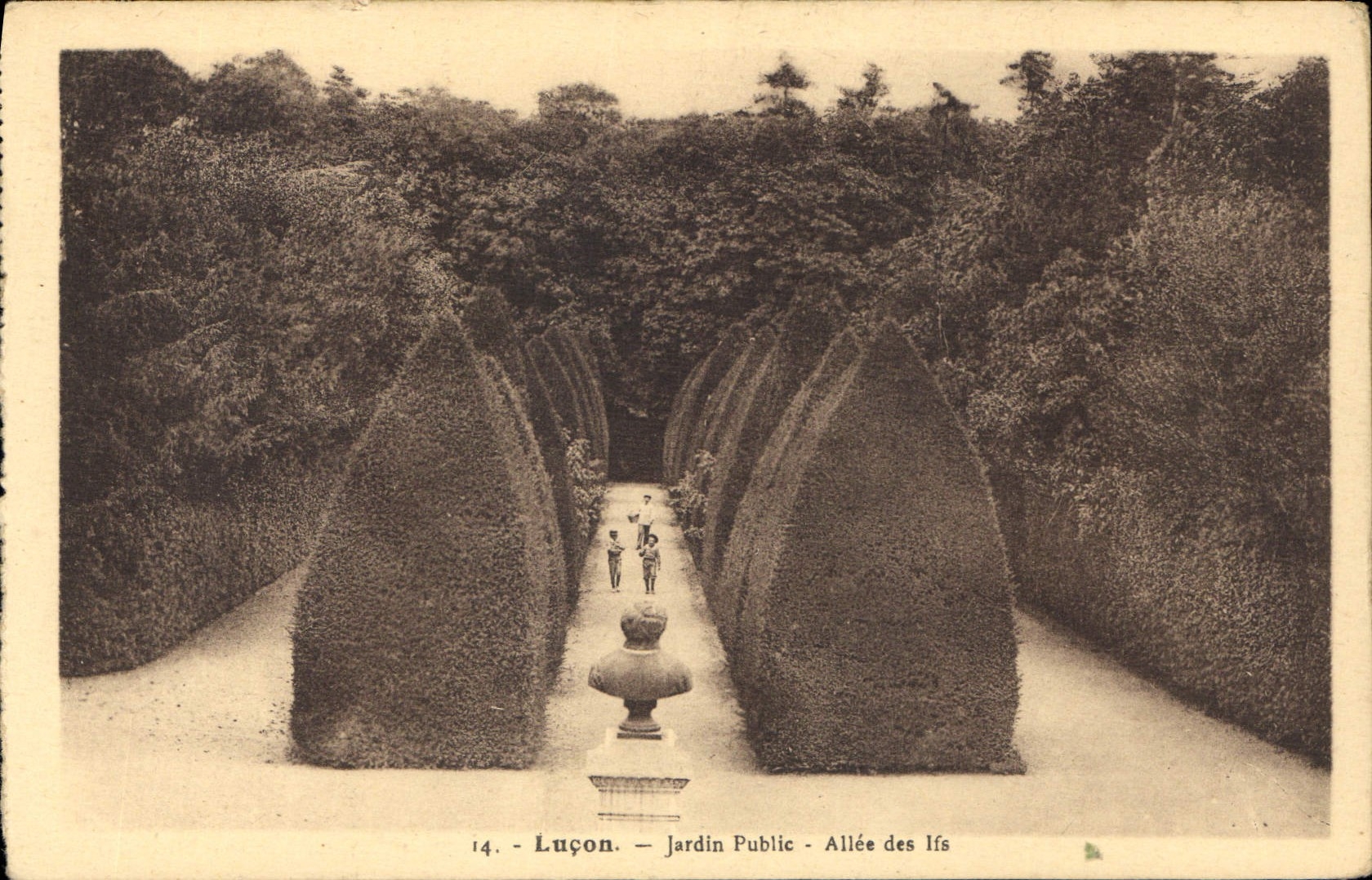 CPA Lucon Jardin Public Allee des Ifs 