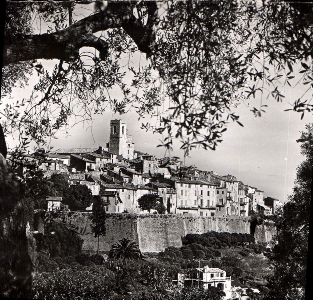 CPA Saint Paul Alpes Maritimes vue prise entre les Oliviers 
