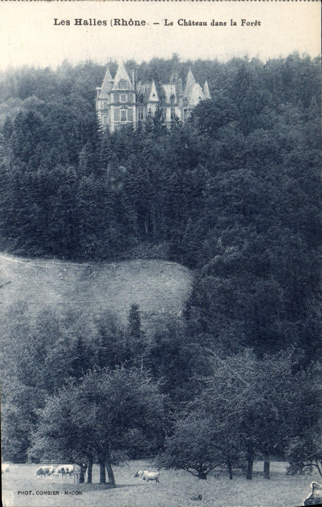 CPA Les Halles Rhone le Chateau dans la Foret 