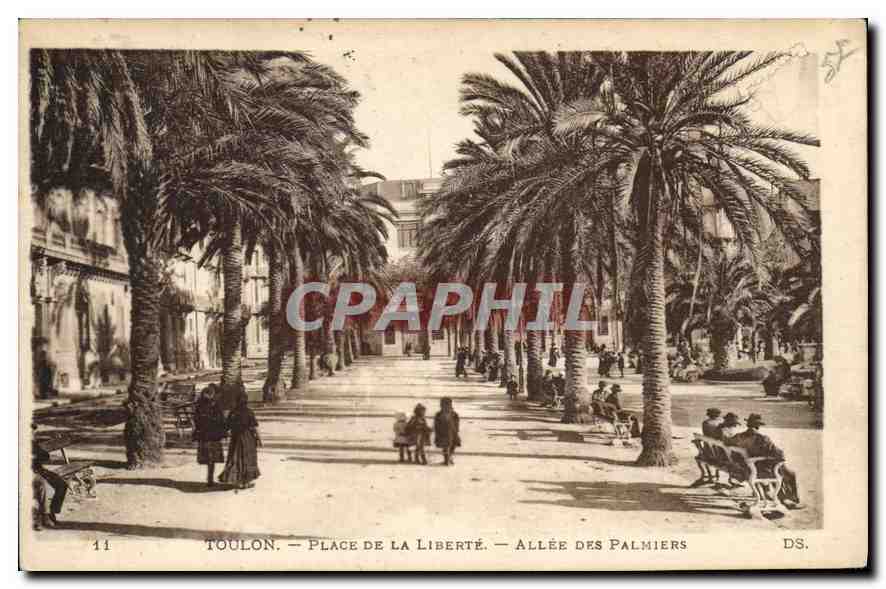CPA Toulon Place de la Liberte Allee des Palmiers 