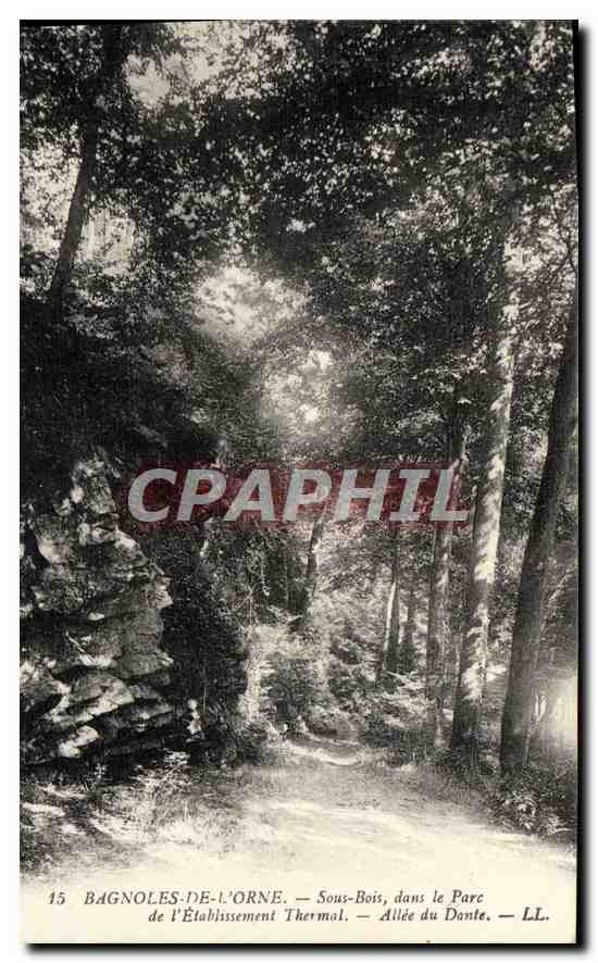 CPA Bagnoles de l'Orne Sous Bois dans le Parc de l'Etablissement Thermal Allee du Dante 