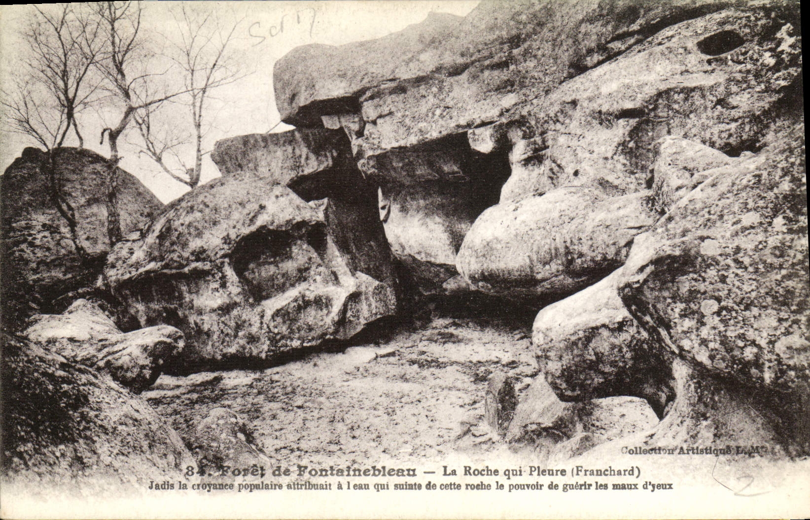 Foresta di Fontainebleau — La Roche qui Pleure (Franchard) — Collezione Artistica LAM