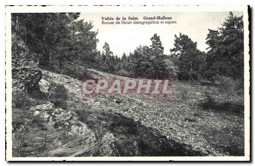 Vallée de la Salm. Grand-Halleux — Rocher de Hourt désagrégation et sapins.