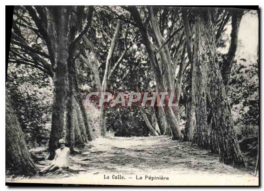 CPA La Calle La Pepiniere 
