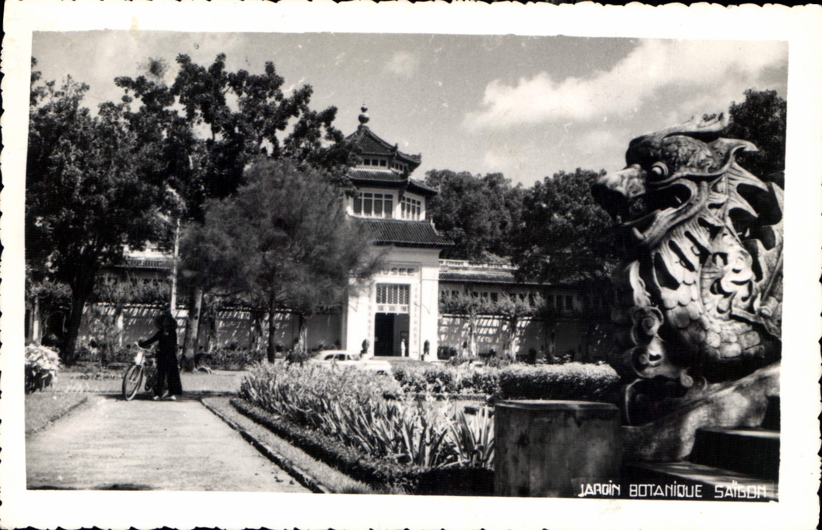 CPM Jardin Botanique SaigoN Dragon Vietnam