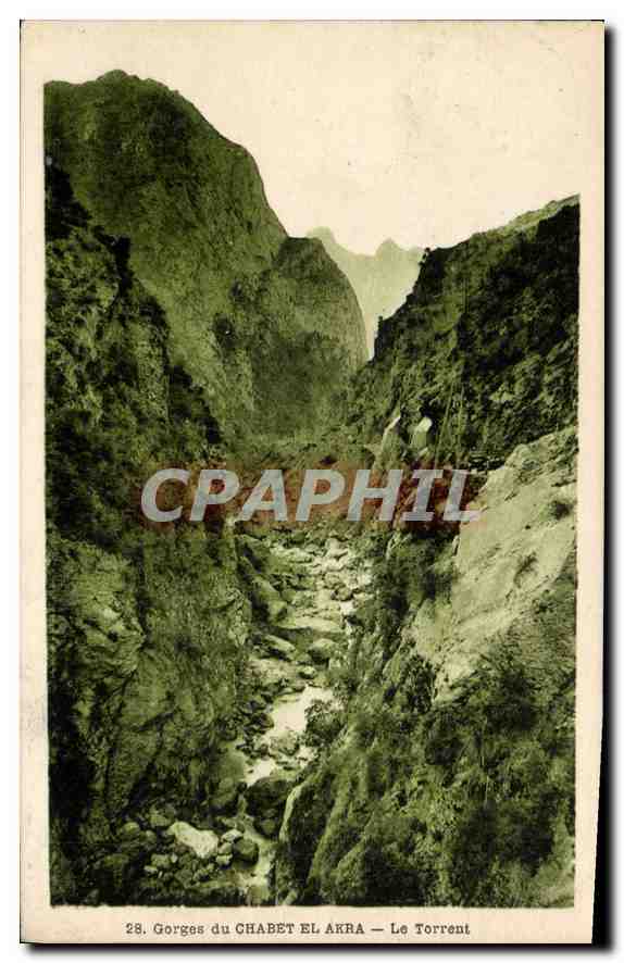 CPA Gorges du Chabet el Akra Le Torrent 