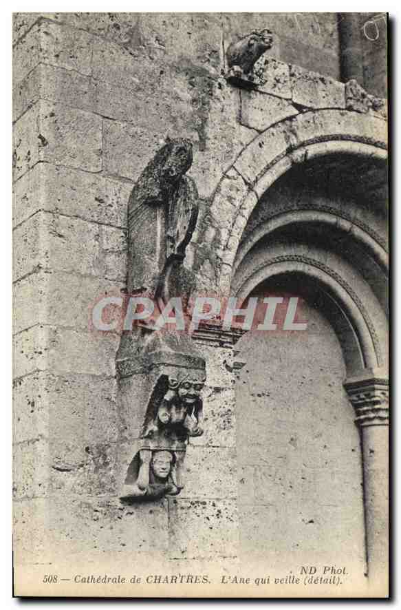 CPA Cathedrale de Chartres L'Ane qui veille detail 