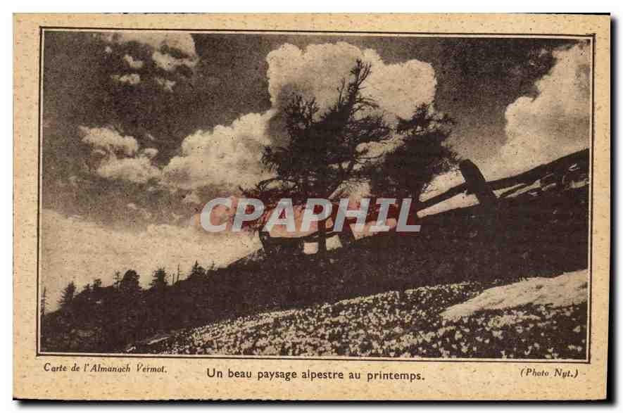 CPA Un beau paysage alpestre au printemps 