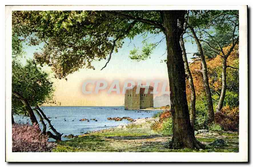 Ile Saint-Honorat — Vue de la pointe orientale de l'île — Photochromie A. D. (A.M.) Nice