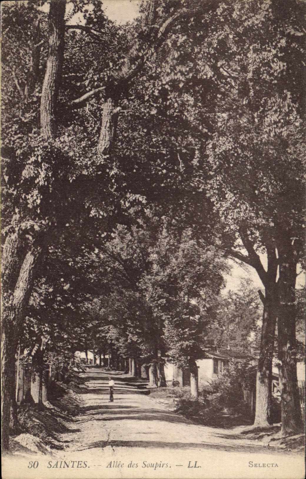 CPA Saintes Allee des Saupirs 