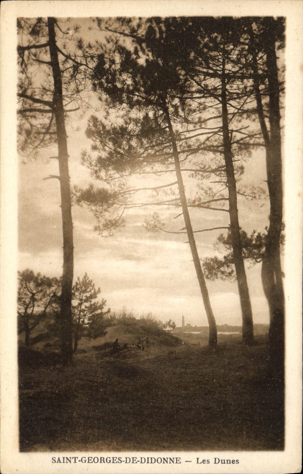CPA Saint Georges de Didonne Les Dunes 