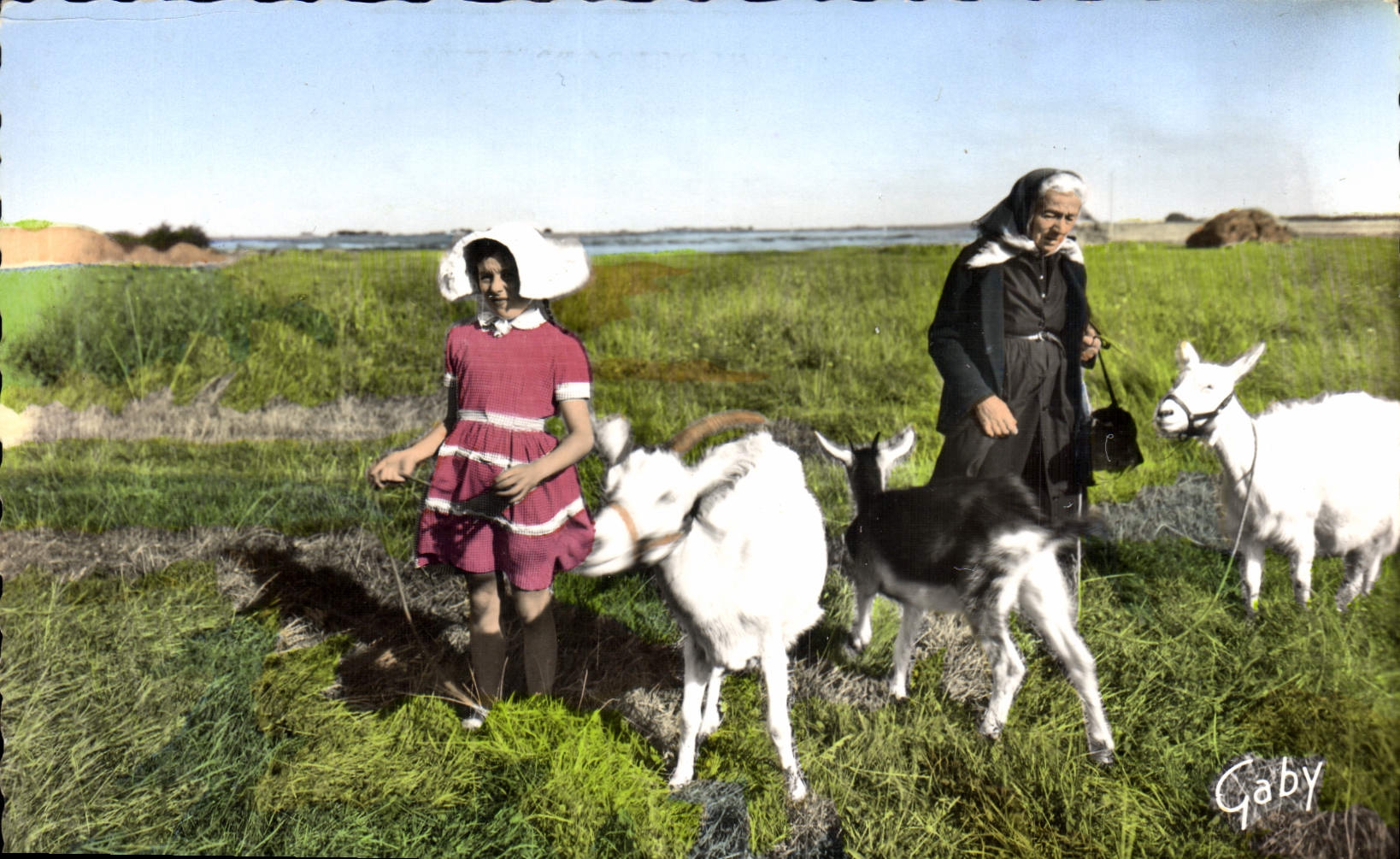 CPA Ile d'Oleron Ch MMe Fillette en Kisnott gardant les Chevres Chevre Folklore